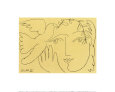 Visage de la Paix Picasso